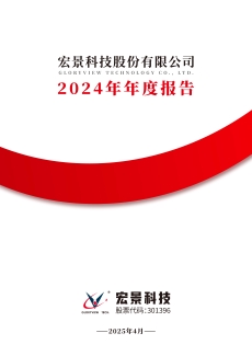 宏景科技：2024年年度报告